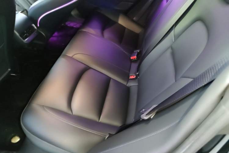 Used Tesla Model 3 2022 Rear-Wheel-Drive Version Left Rear Seat