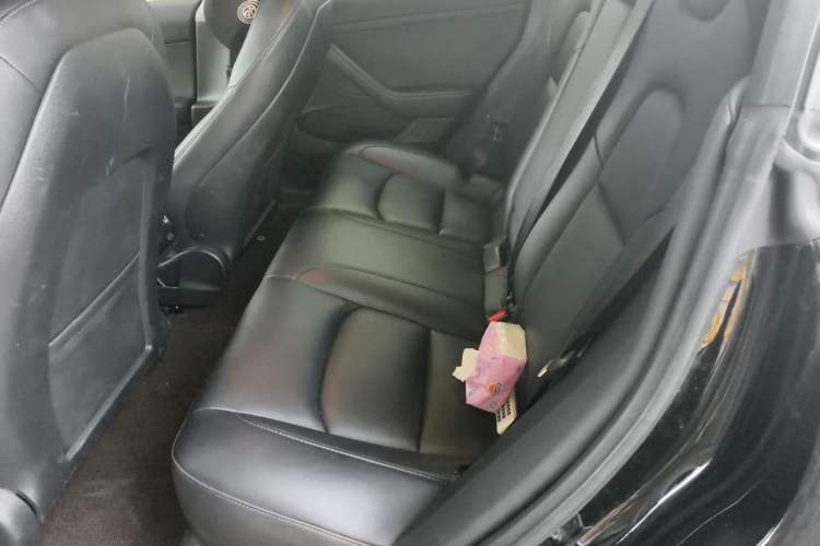 Used Tesla Model 3 2022 Rear-Wheel-Drive Version Left Rear Seat