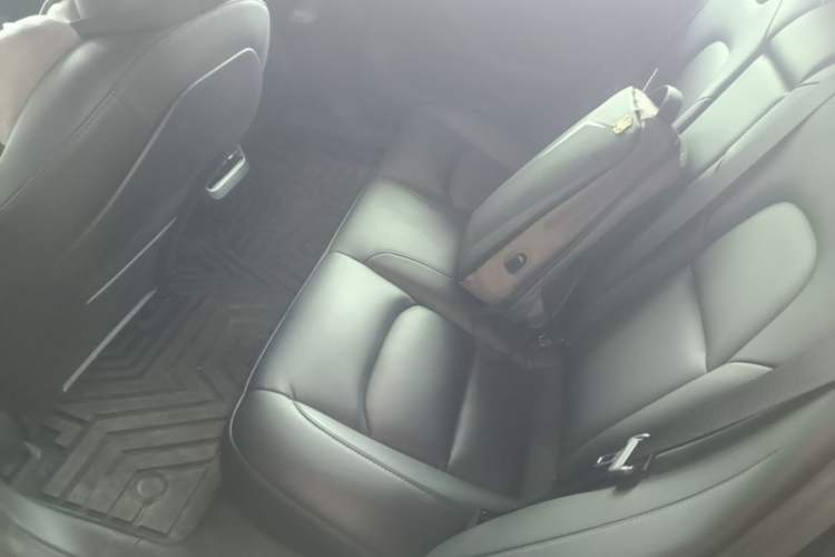 Used Tesla Model 3 2022 Rear-Wheel-Drive Version Left Rear Seat