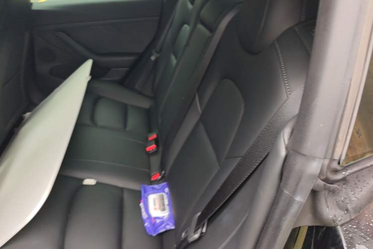Used Tesla Model 3 2022 Rear-Wheel-Drive Version Left Rear Seat