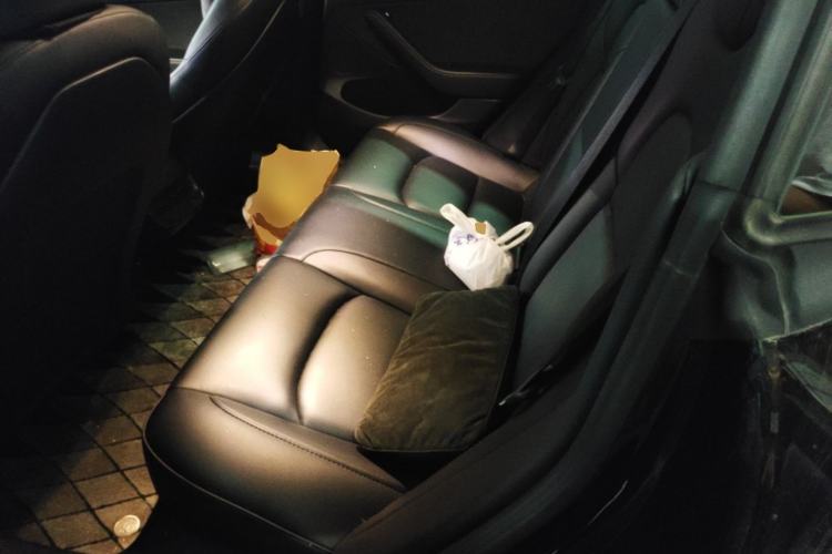 Used Tesla Model 3 2022 Rear-Wheel-Drive Version Left Rear Seat