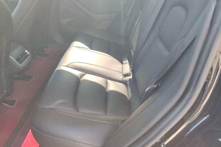 Used Tesla Model 3 2022 Rear-Wheel-Drive Version Left Rear Seat