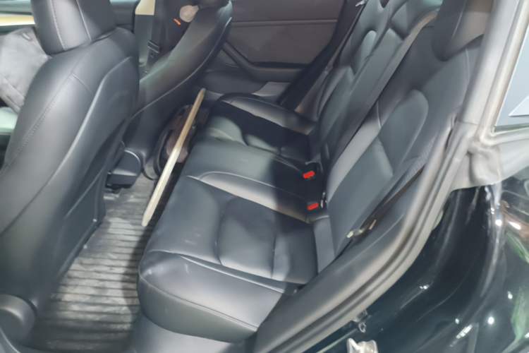 Used Tesla Model 3 2022 Rear-Wheel-Drive Version Left Rear Seat