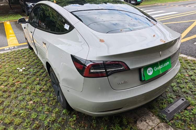 Used Tesla Model 3 2022 Rear-Wheel-Drive Version Rear Left 45 Deg
