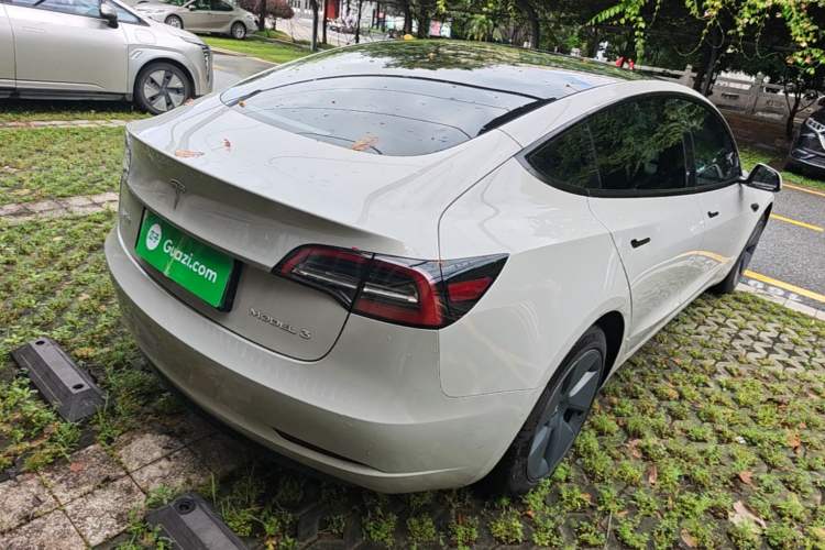 Used Tesla Model 3 2022 Rear-Wheel-Drive Version Rear Right 45 Deg