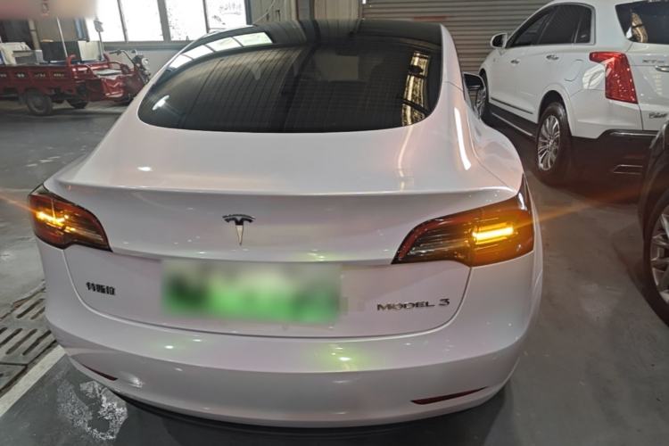 Used Tesla Model 3 2022 Rear-Wheel-Drive Version Rear
