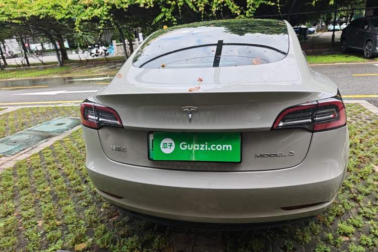 Used Tesla Model 3 2022 Rear-Wheel-Drive Version Rear