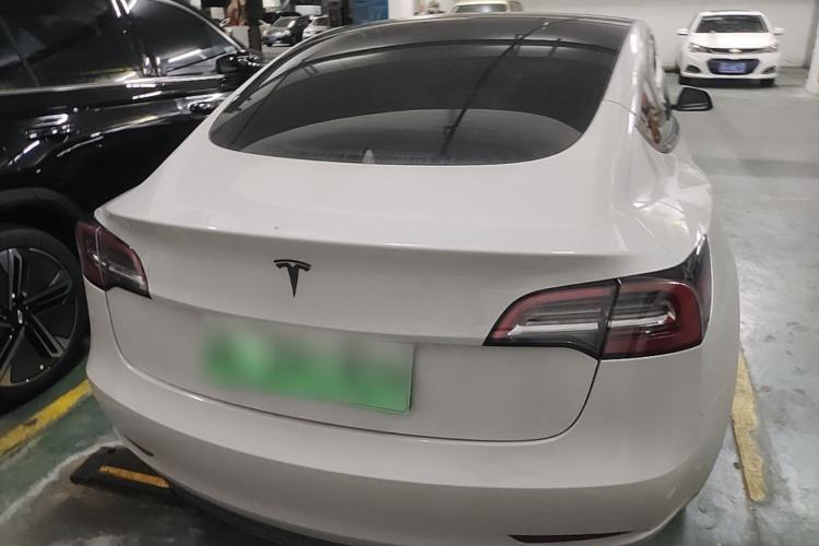 Used Tesla Model 3 2022 Rear-Wheel-Drive Version Rear