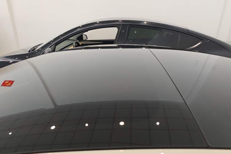 Used Tesla Model 3 2022 Rear-Wheel-Drive Version Roof