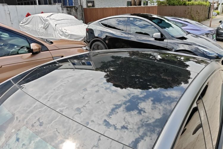 Used Tesla Model 3 2022 Rear-Wheel-Drive Version Roof