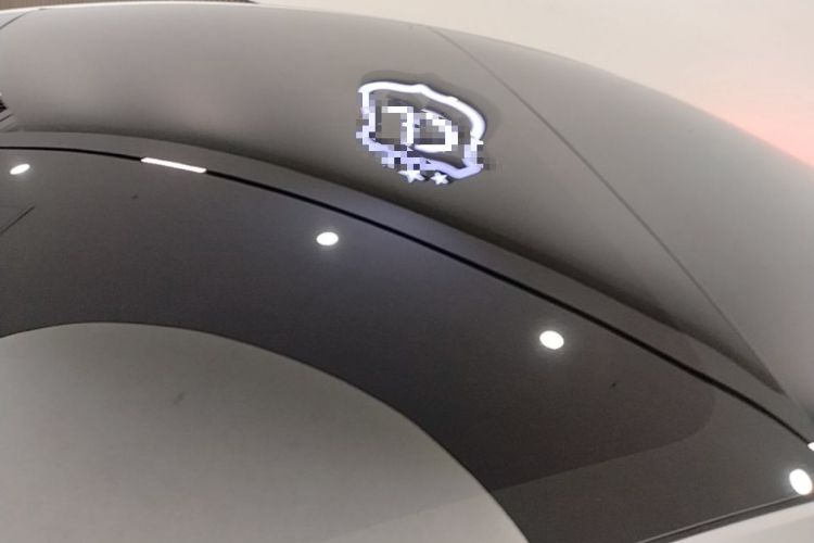 Used Tesla Model 3 2022 Rear-Wheel-Drive Version Roof