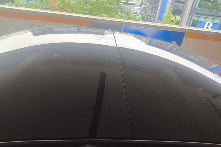 Used Tesla Model 3 2022 Rear-Wheel-Drive Version Roof