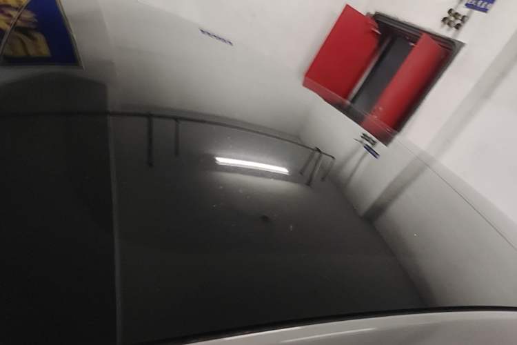 Used Tesla Model 3 2022 Rear-Wheel-Drive Version Roof