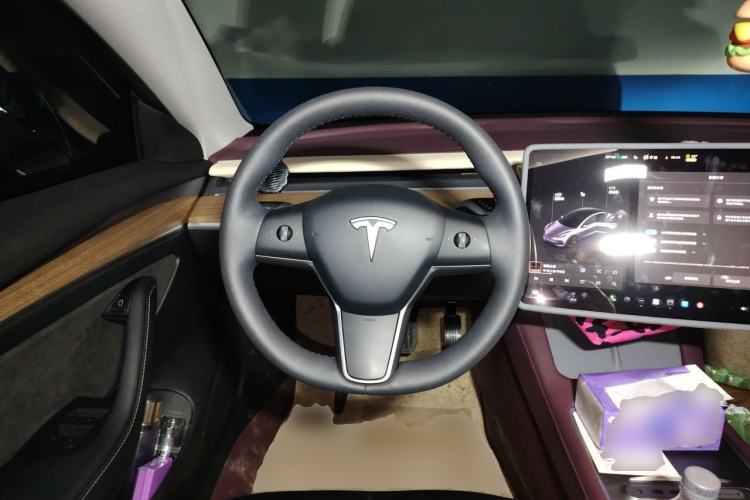 Used Tesla Model 3 2022 Rear-Wheel-Drive Version Steering Wheel