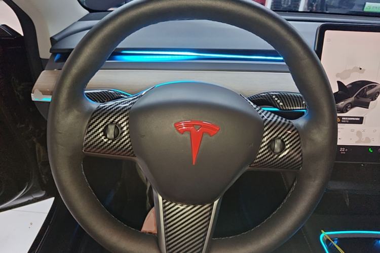 Used Tesla Model 3 2022 Rear-Wheel-Drive Version Steering Wheel