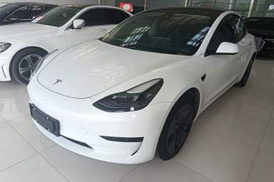 Used Tesla Model 3 2022 Rear-Wheel-Drive Version