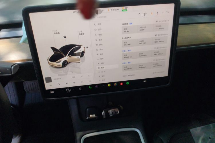 Used Tesla Model 3 2022 Rear-Wheel-Drive Version Audio And AC Panel