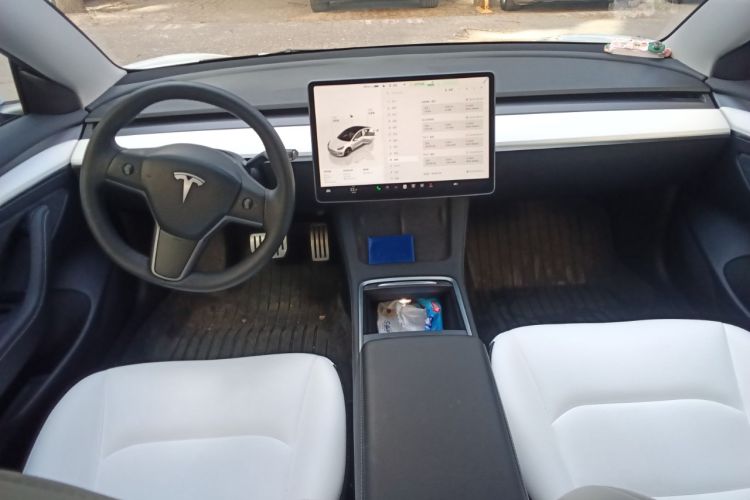 Used Tesla Model 3 2022 Performance High-Performance All-Wheel-Drive Version Center Console