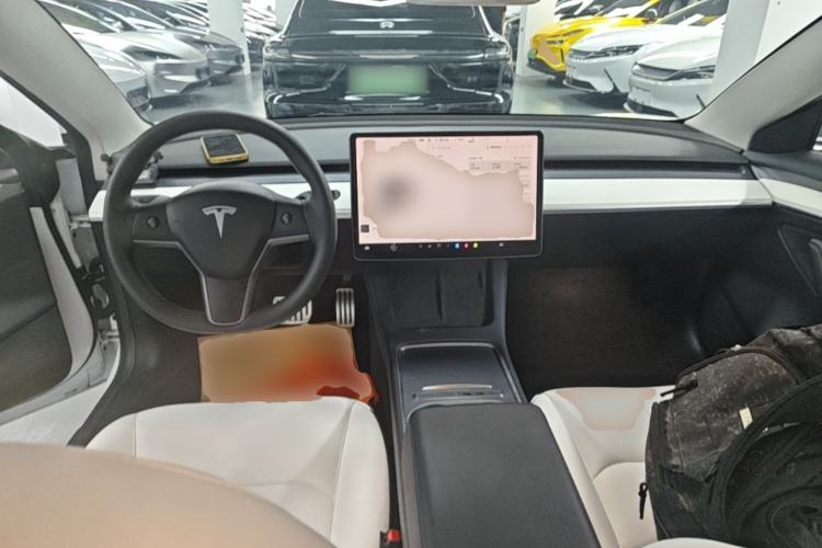 Used Tesla Model 3 2022 Performance High-Performance All-Wheel-Drive Version Center Console