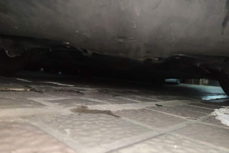 Used Tesla Model 3 2022 Rear-Wheel-Drive Version Chassis Rear