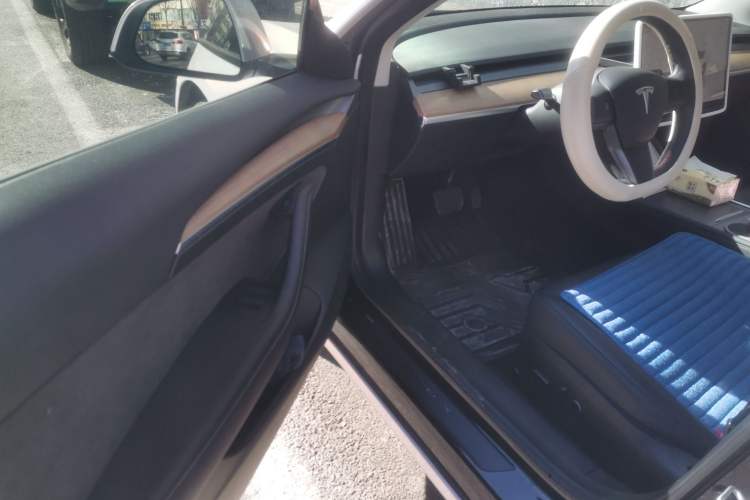 Used Tesla Model 3 2022 Rear-Wheel-Drive Version Driver Seat
