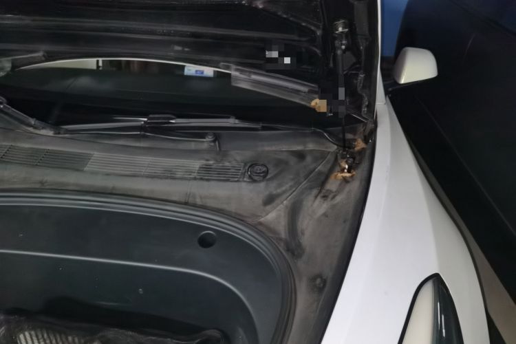Used Tesla Model 3 2022 Rear-Wheel-Drive Version Engine Bay Left