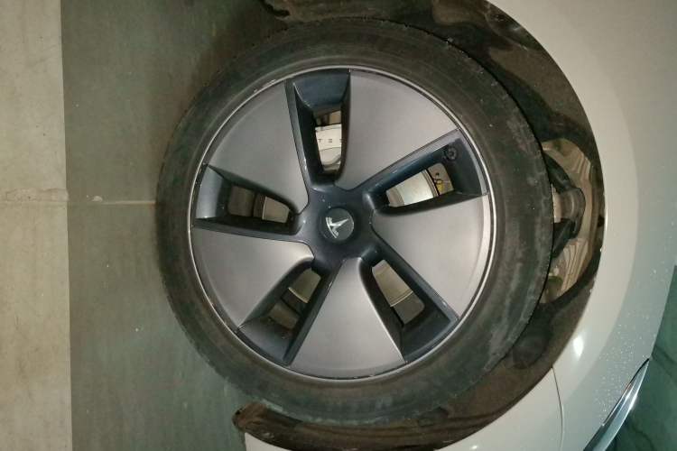 Used Tesla Model 3 2022 Rear-Wheel-Drive Version Exterior 1