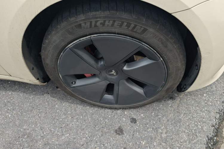 Used Tesla Model 3 2022 Rear-Wheel-Drive Version Exterior 1