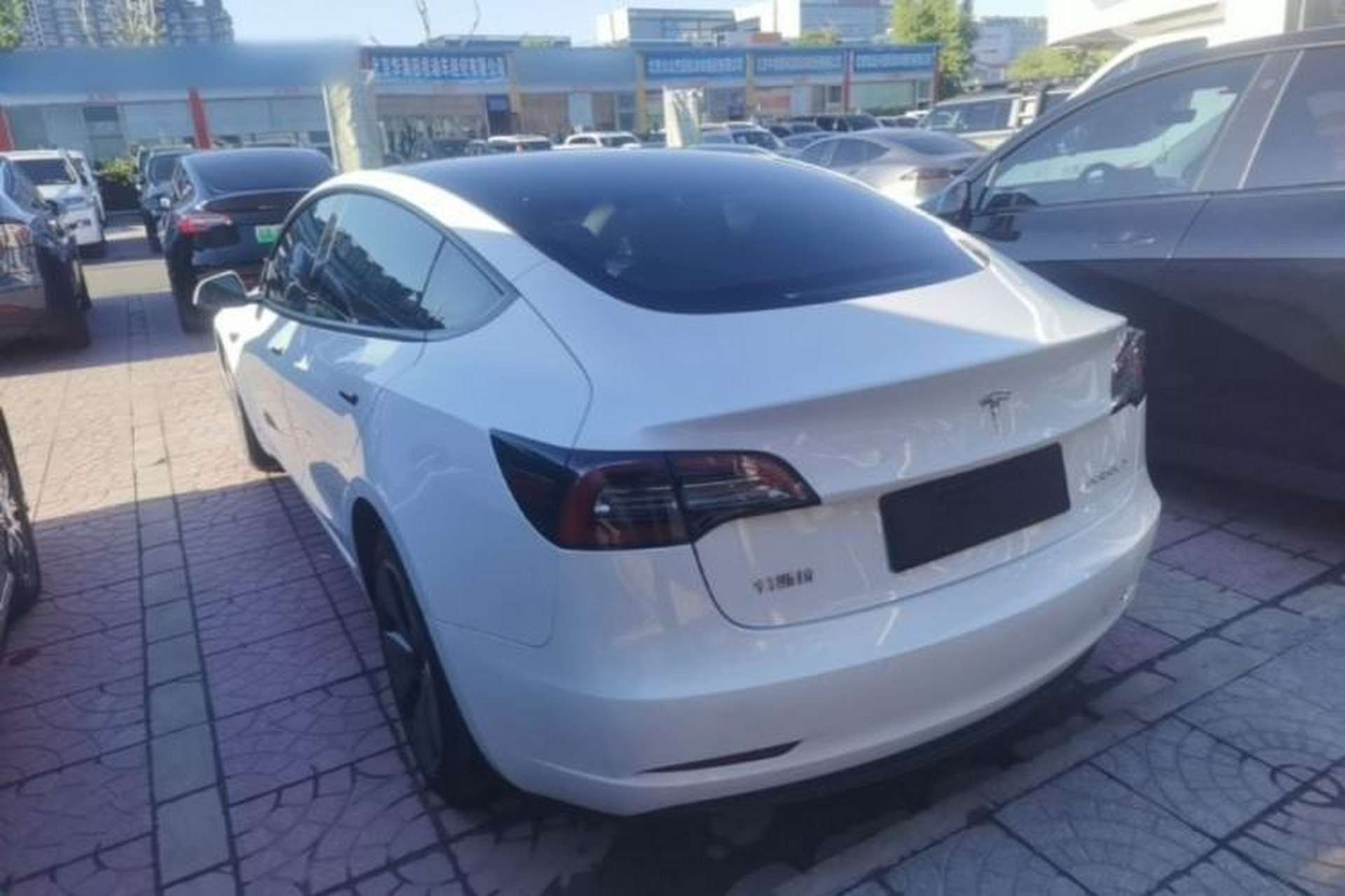 Used Tesla Model 3 2022 Rear-Wheel-Drive Version Exterior 2