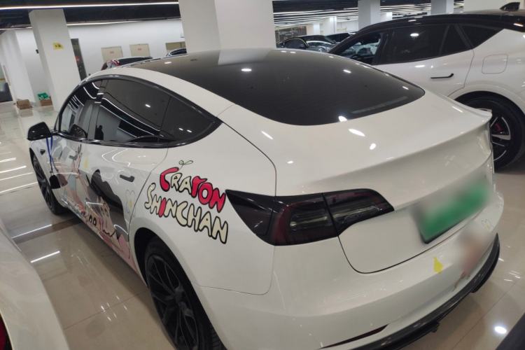 Used Tesla Model 3 2022 Rear-Wheel-Drive Version Exterior 2