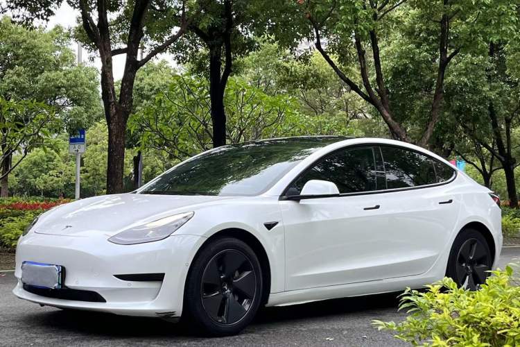 Used Tesla Model 3 2022 Rear-Wheel-Drive Version Exterior 2