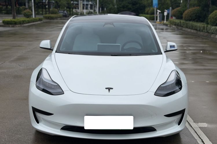 Used Tesla Model 3 2022 Rear-Wheel-Drive Version Exterior 2