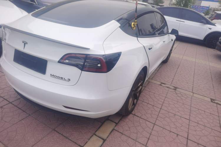 Used Tesla Model 3 2022 Performance High-Performance All-Wheel-Drive Version Exterior 3