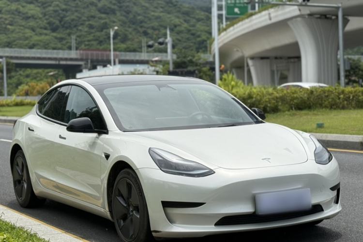 Used Tesla Model 3 2022 Rear-Wheel-Drive Version Exterior 3