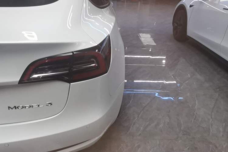 Used Tesla Model 3 2022 Rear-Wheel-Drive Version Exterior 3
