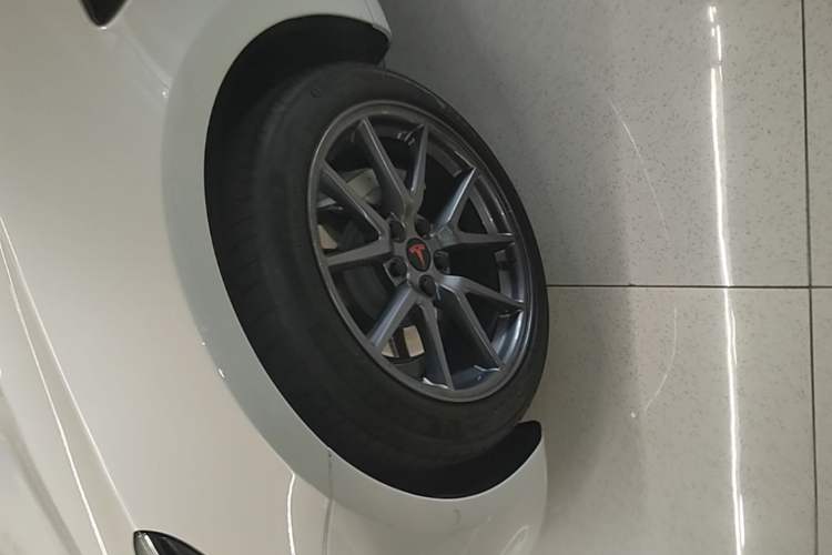 Used Tesla Model 3 2022 Rear-Wheel-Drive Version Exterior 4