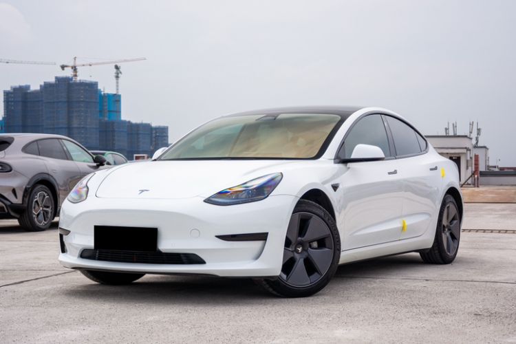 Used Tesla Model 3 2022 Rear-Wheel-Drive Version Exterior 4
