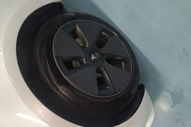 Used Tesla Model 3 2022 Rear-Wheel-Drive Version Exterior 4