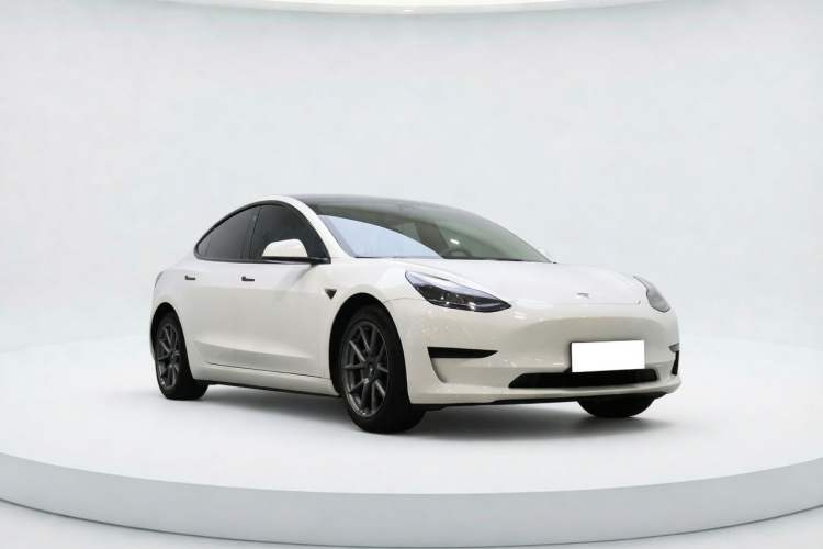 Used Tesla Model 3 2022 Rear-Wheel-Drive Version Exterior 4