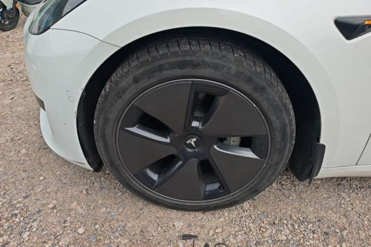 Used Tesla Model 3 2022 Rear-Wheel-Drive Version Exterior 4