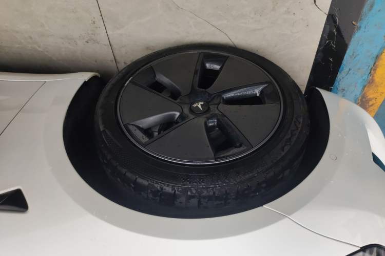 Used Tesla Model 3 2022 Rear-Wheel-Drive Version Exterior 4