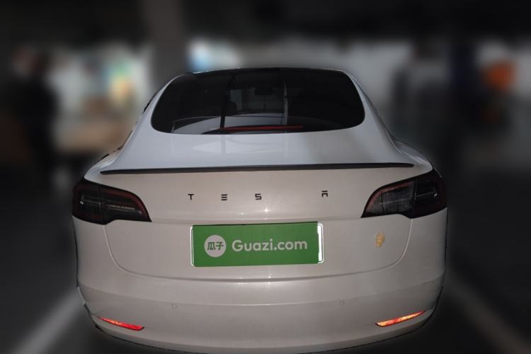 Used Tesla Model 3 2022 Performance High-Performance All-Wheel-Drive Version Exterior 4