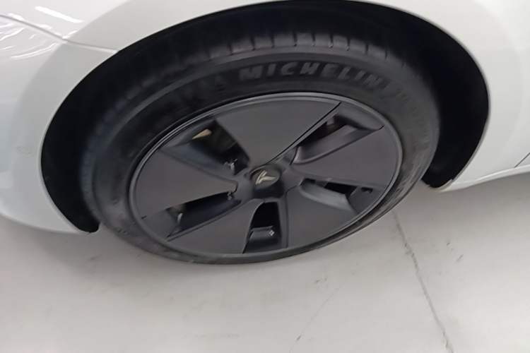 Used Tesla Model 3 2022 Rear-Wheel-Drive Version Exterior 4
