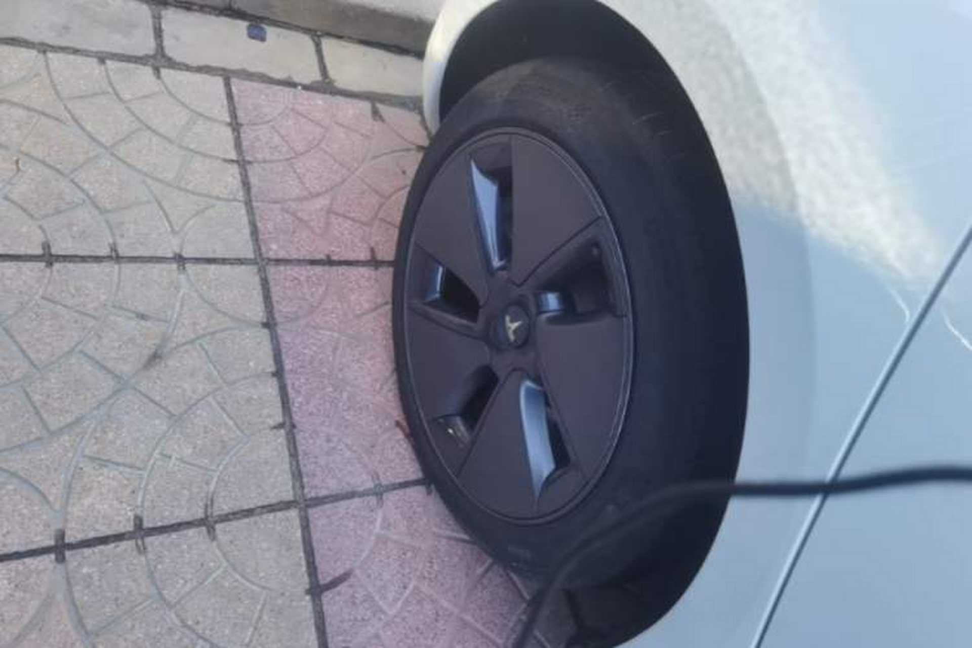 Used Tesla Model 3 2022 Rear-Wheel-Drive Version Exterior 5