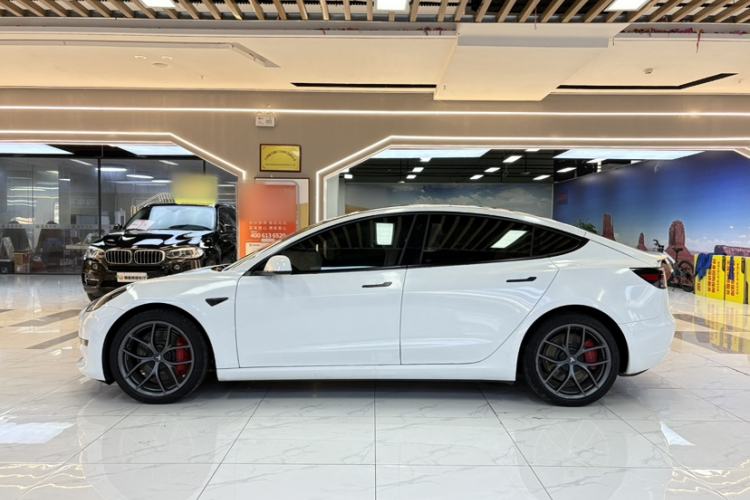Used Tesla Model 3 2022 Performance High-Performance All-Wheel-Drive Version Exterior 5