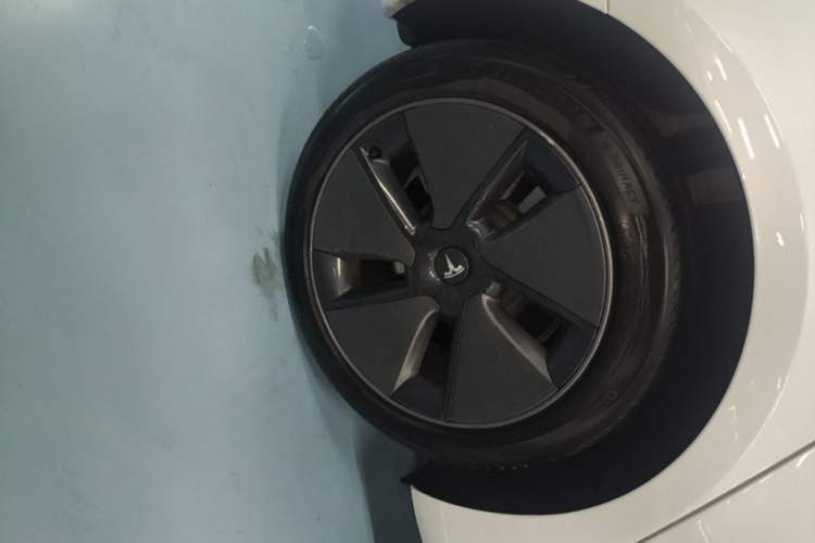 Used Tesla Model 3 2022 Rear-Wheel-Drive Version Exterior 5