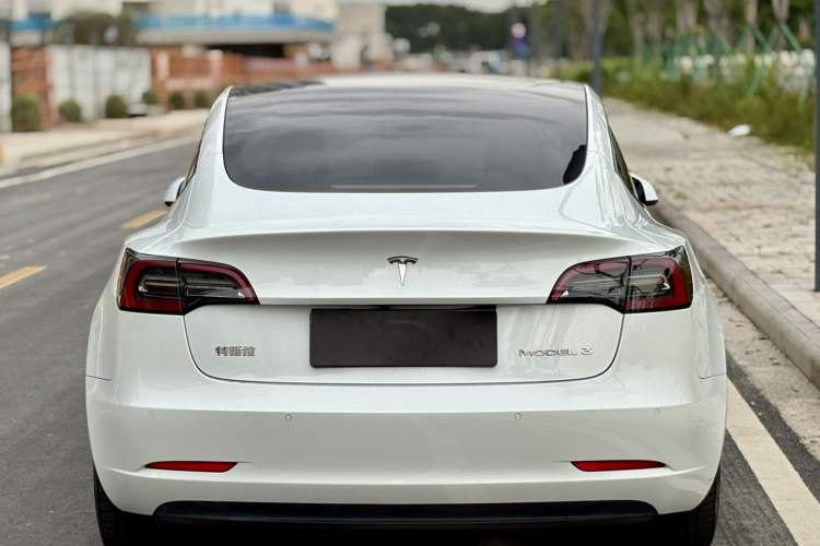 Used Tesla Model 3 2022 Rear-Wheel-Drive Version Exterior 5
