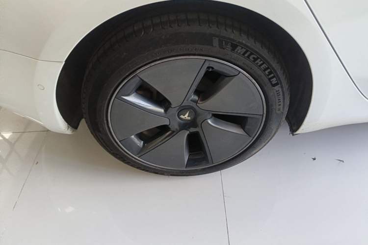 Used Tesla Model 3 2022 Rear-Wheel-Drive Version Exterior 5