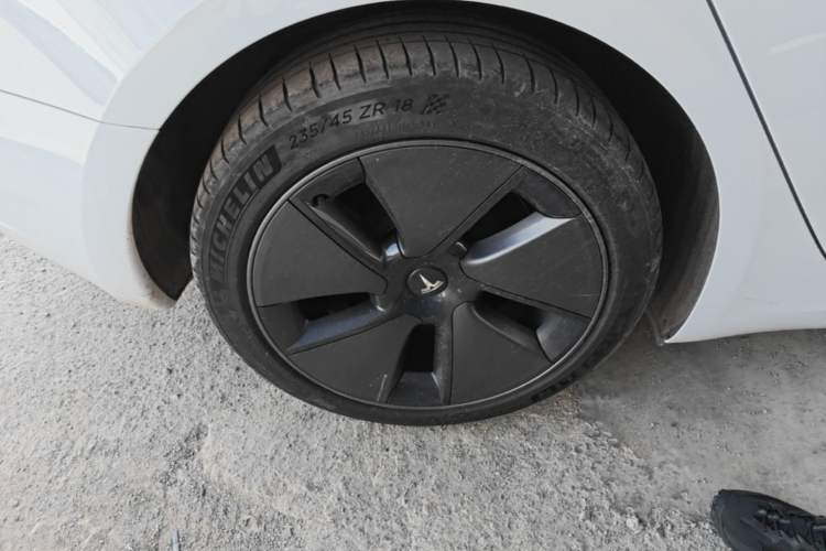 Used Tesla Model 3 2022 Rear-Wheel-Drive Version Exterior 5