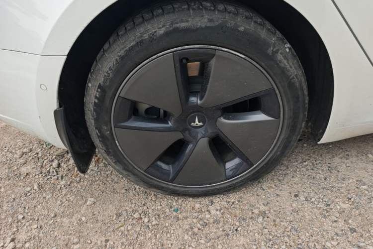 Used Tesla Model 3 2022 Rear-Wheel-Drive Version Exterior 5